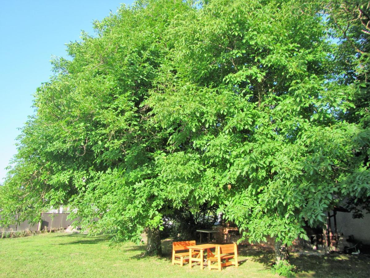 Pod Orehi Bed & Breakfast Postojna Exterior photo