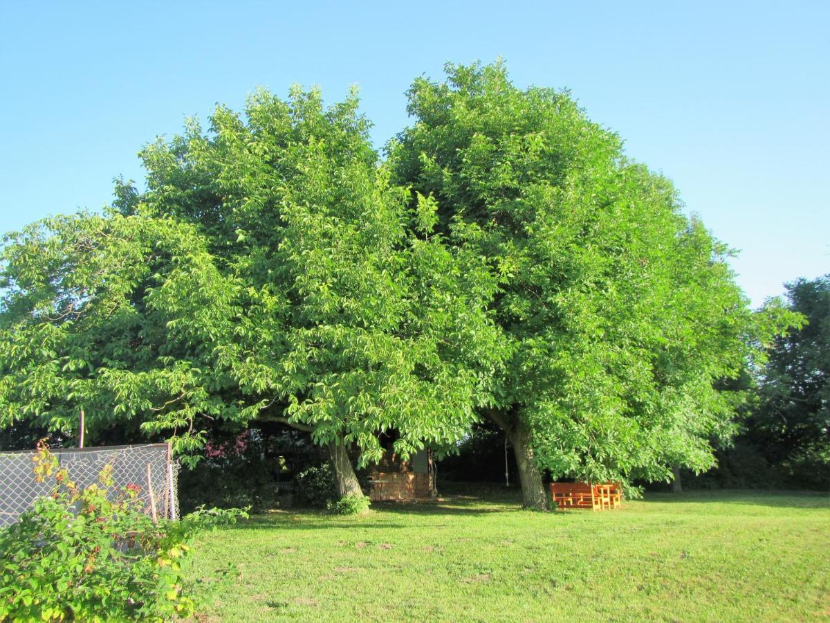 Pod Orehi Bed & Breakfast Postojna Exterior photo