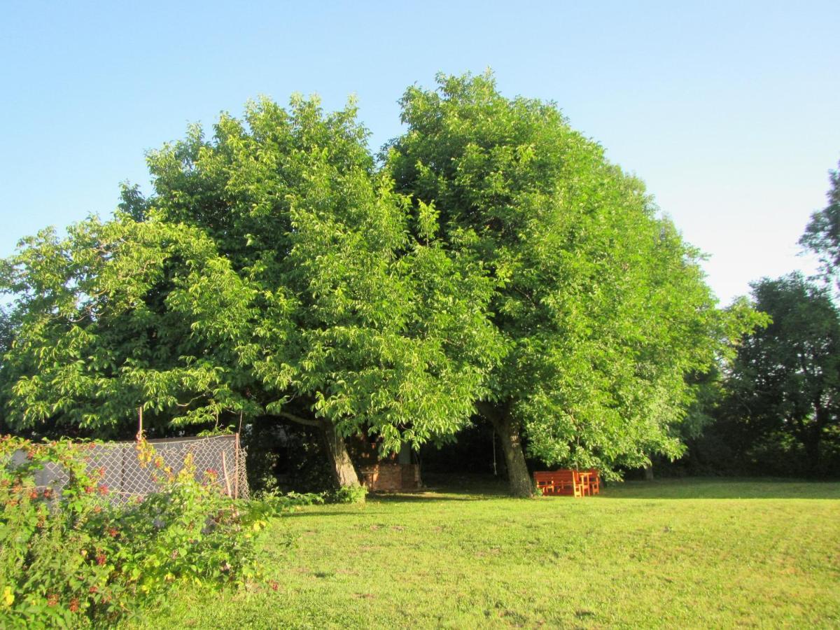 Pod Orehi Bed & Breakfast Postojna Exterior photo