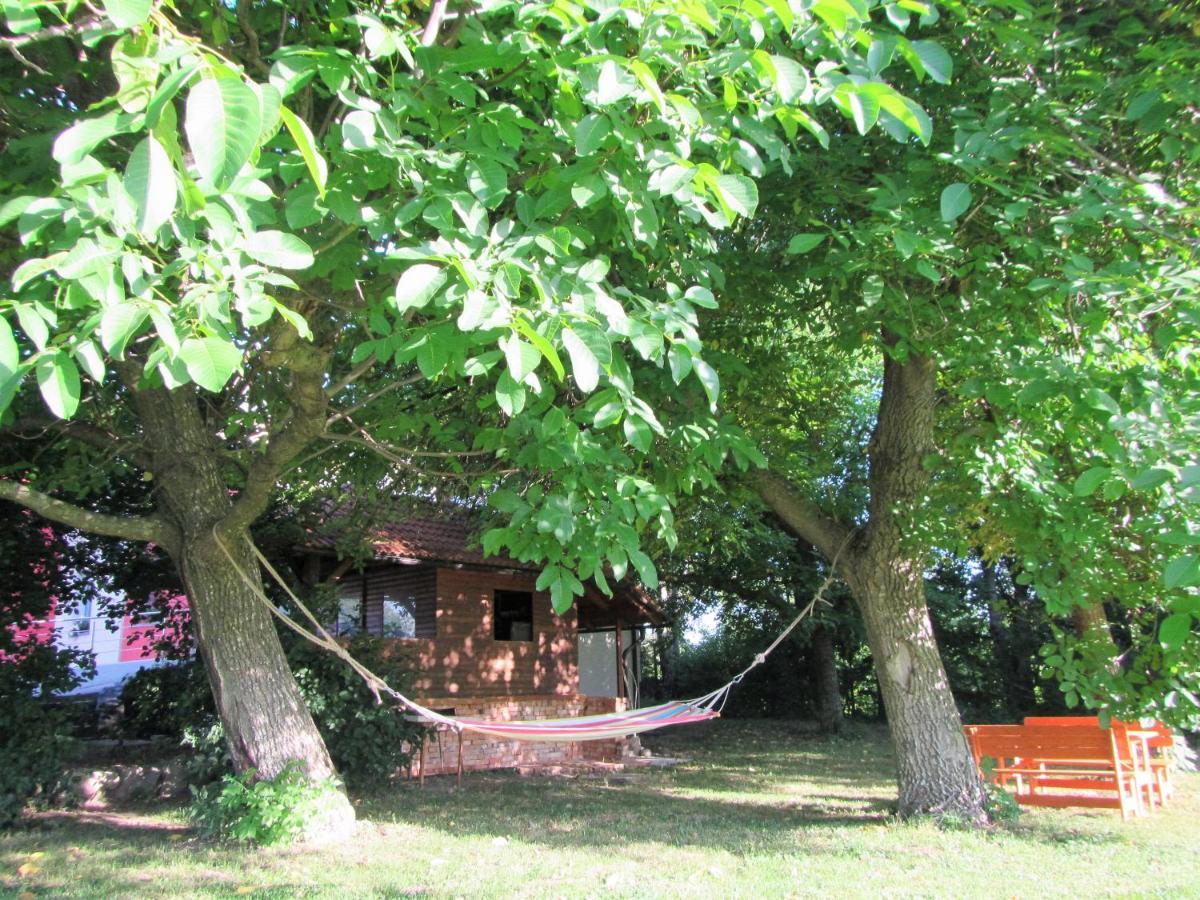 Pod Orehi Bed & Breakfast Postojna Exterior photo