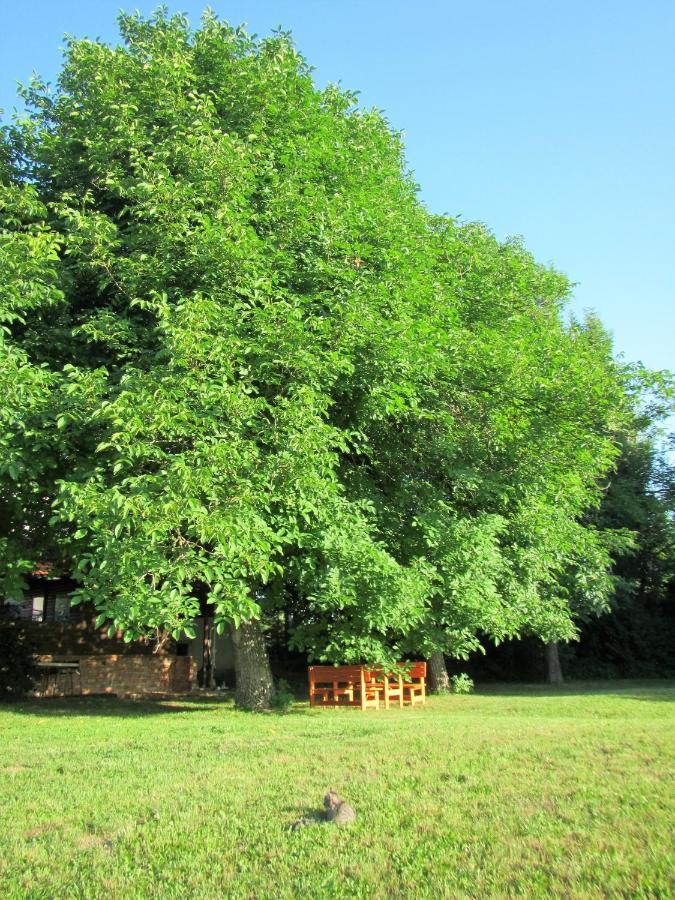 Pod Orehi Bed & Breakfast Postojna Exterior photo